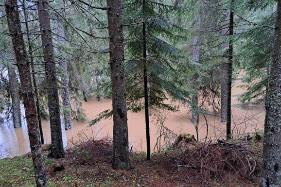 Slika broj 1636600. Na Bijambarama šuma pod vodom: Zbog obilnih padavine poplave prete BiH (VIDEO, FOTO)
