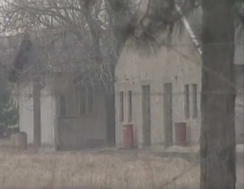 Burići koji se nalaze u ograđenom delu