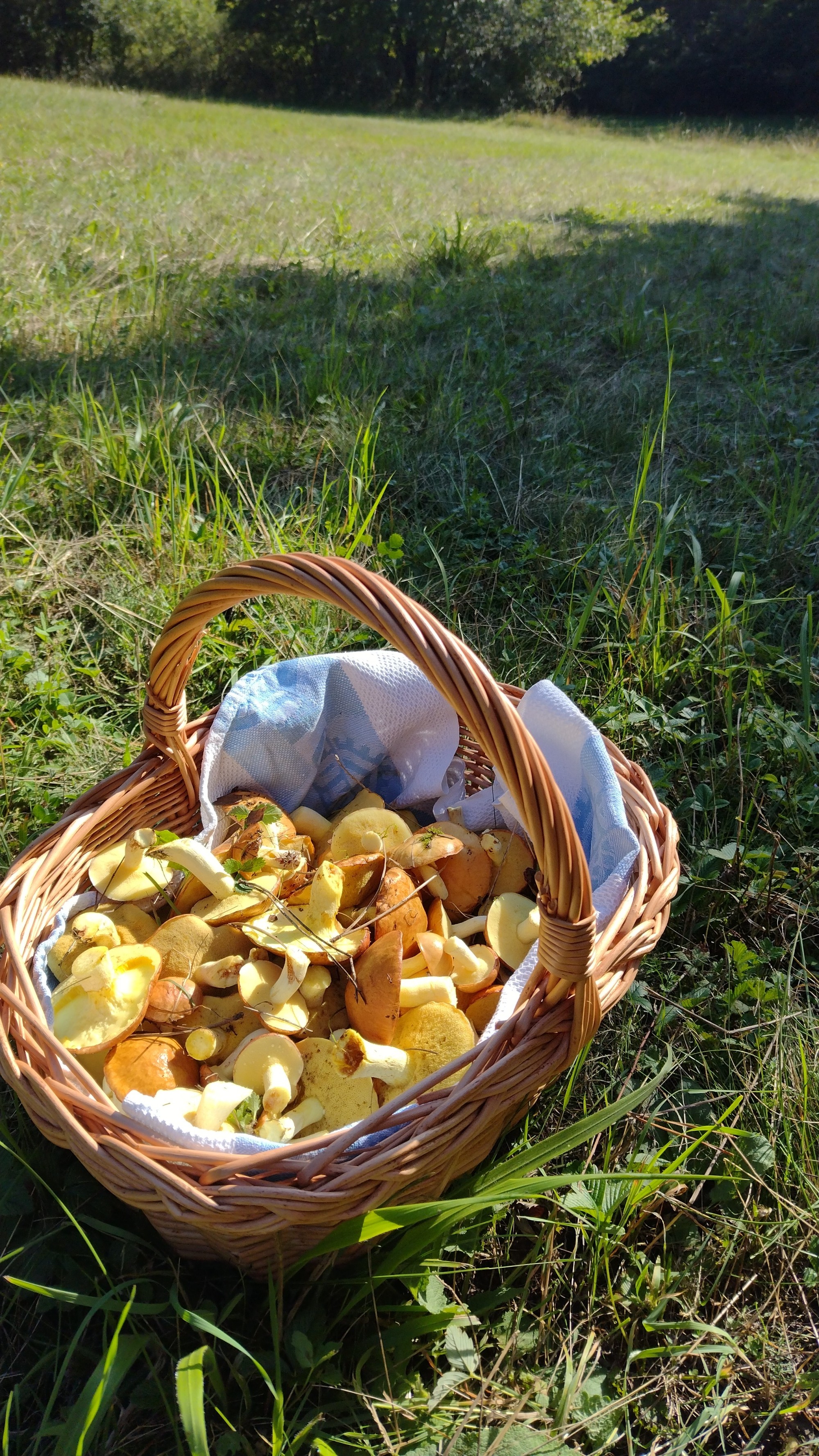 Marta sa pochválila parádnou nádielkou.