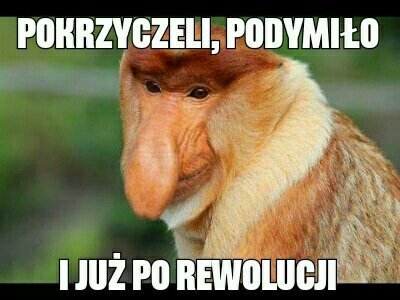 Jeden z przykładów memów z nosaczem