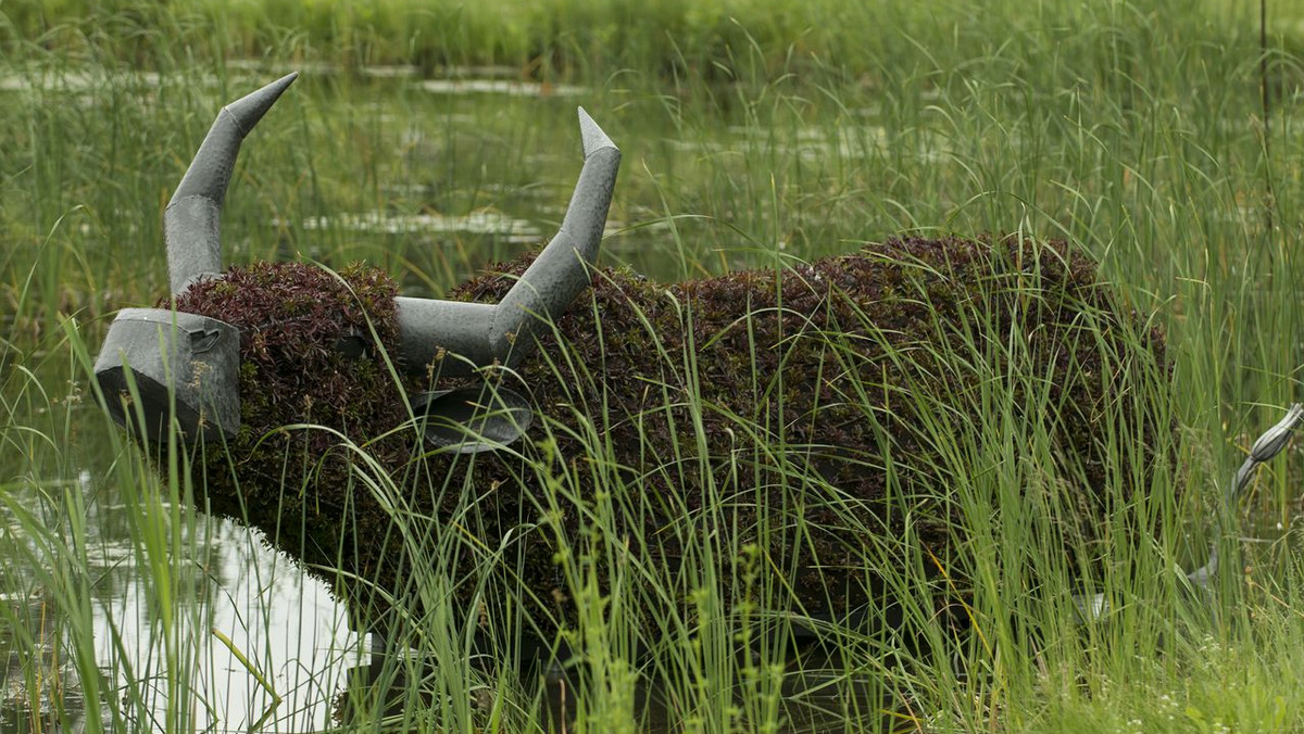 fot. Guy Boily/Montreal International Mosaicultures 2013 Show Exhibition