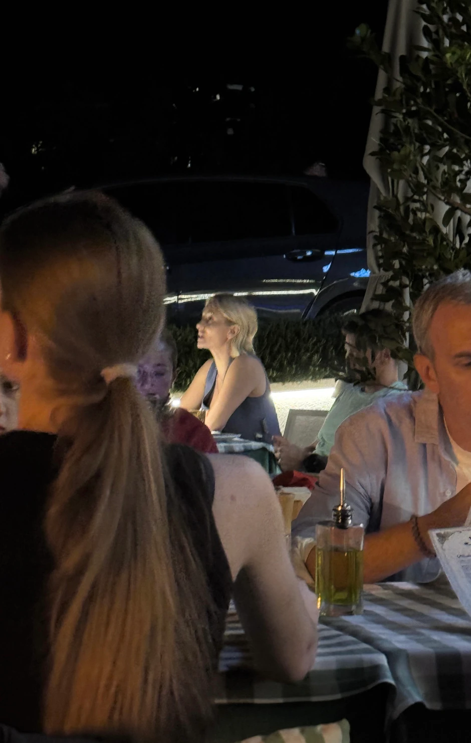 Goca Tržan, paparaco