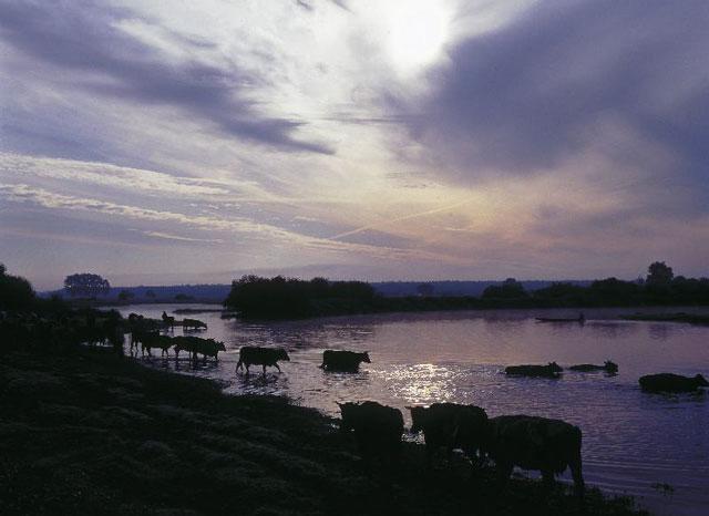 Galeria Polska - Podlasie - Okolice pierwotnej Europy, obrazek 6