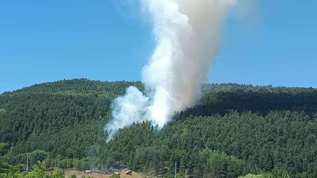 Hasiči zasahujú pri požiari lesa v obci Richnava, okres Gelnica.