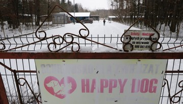 Schronisko w Sobolewie zamknięte: „Nie będzie taryfy ulgowej”