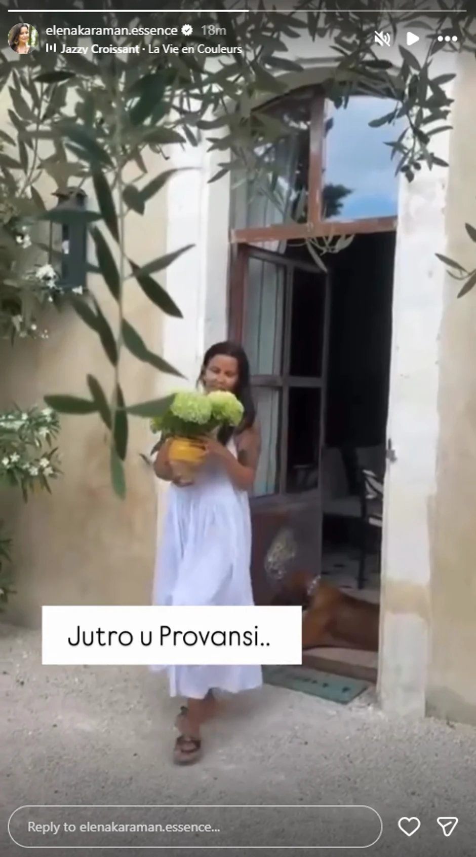 Elena Karić, objava