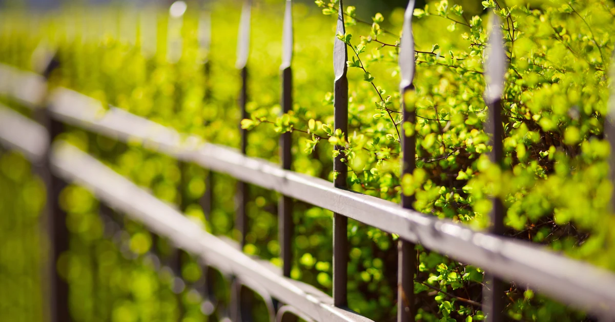 Od 2026 roku zakaz ostro zakończonych elementów na ogrodzeniach (także już istniejących). Czy Polacy będą musieli masowo wymieniać płoty?