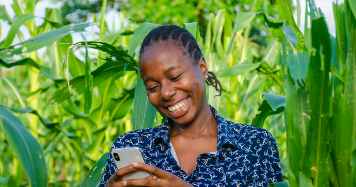 Top social media platforms used for agriculture in Kenya - Survey ...