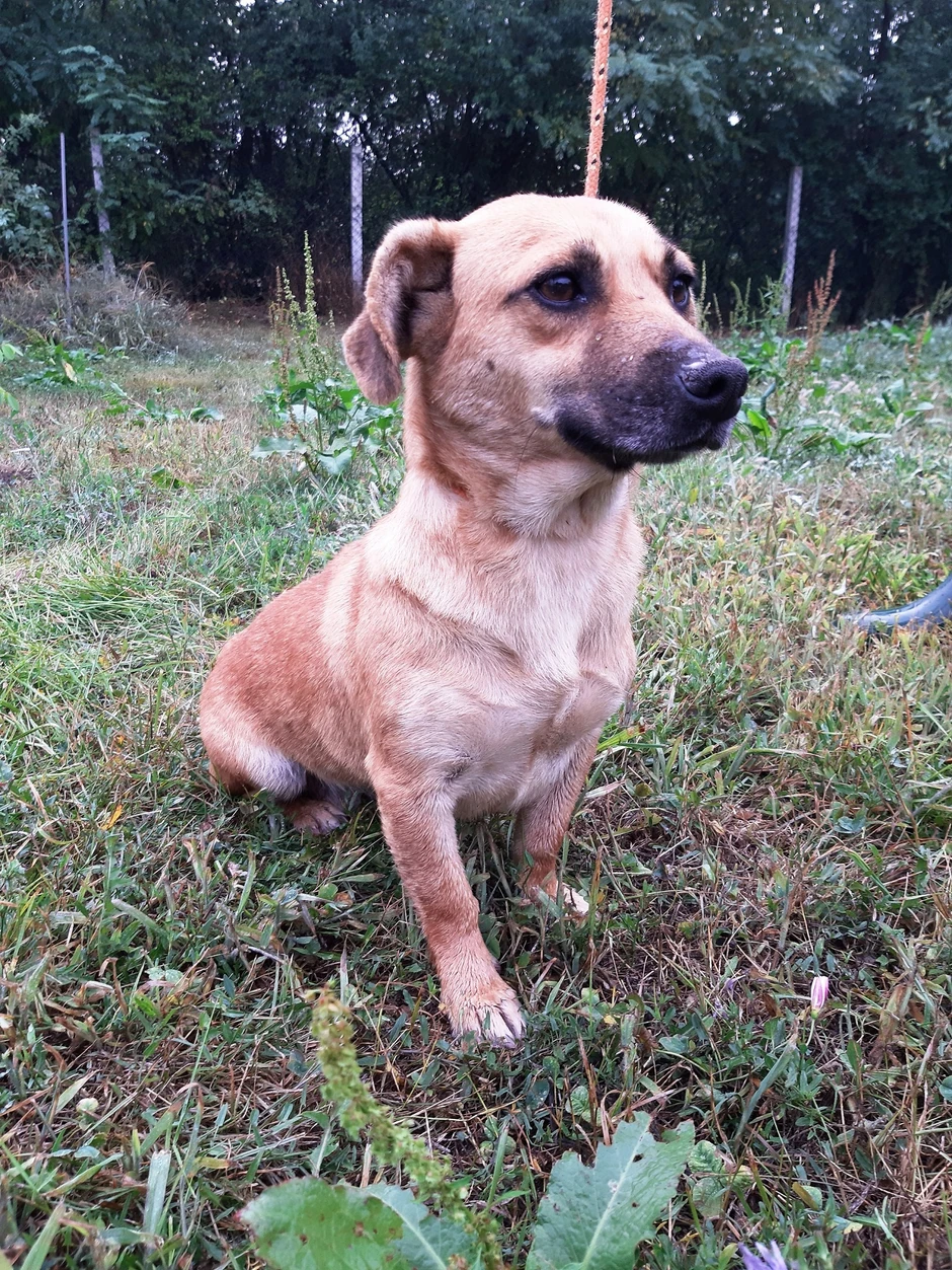 Žiža je stara godinu i po dana