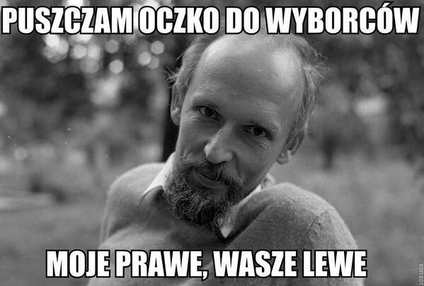 Wybory do PE okiem internautów