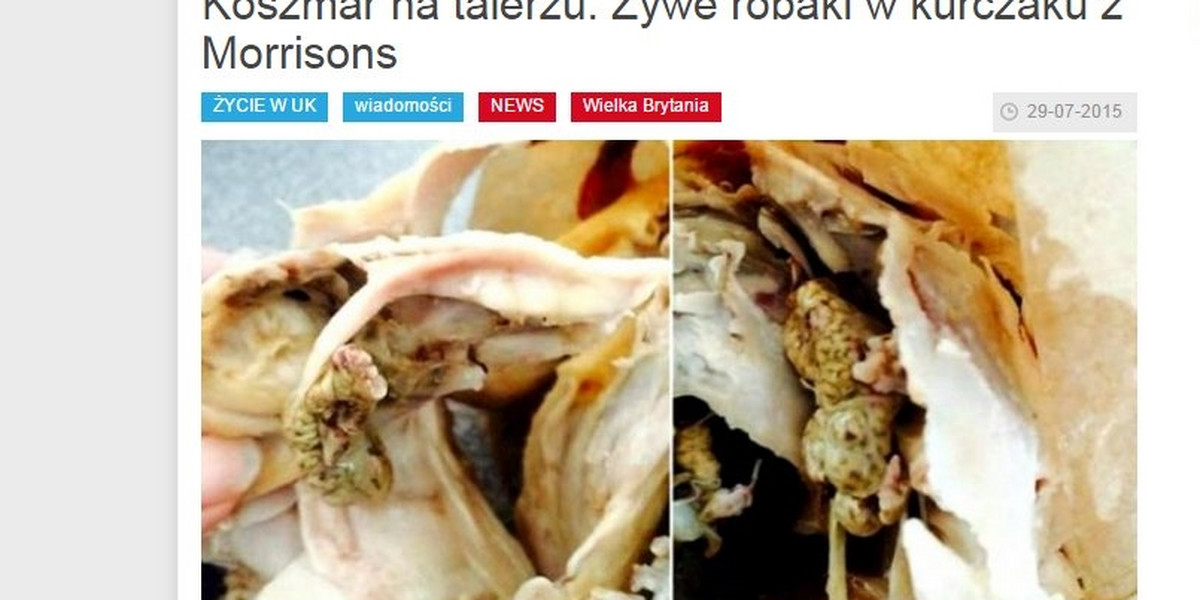 Koszmar na talerzu. Żywe robaki w kurczaku z supermarketu!