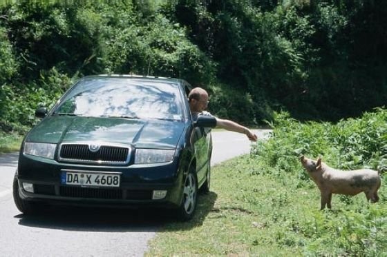 Samochody w testach długodystansowych. Część pierwsza