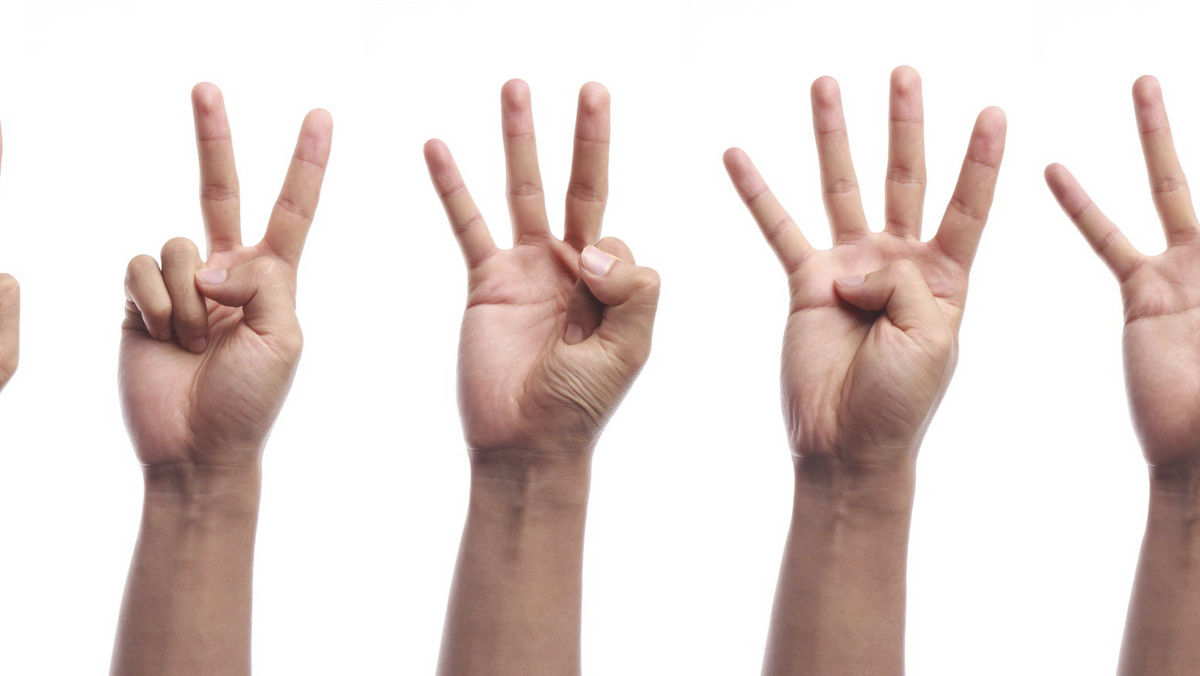 Zastanawialiście się kiedyś, o czym świadczy długość waszych palców u rąk? Ostatnie teorie na ten temat niosą ze sobą bardzo wiele ciekawych informacji.