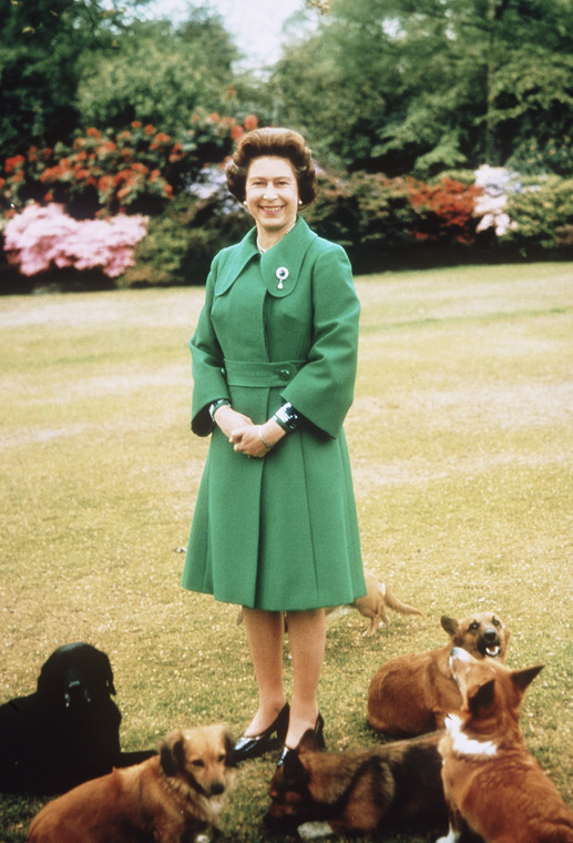Królowa Elżbieta Ii i jej corgi
