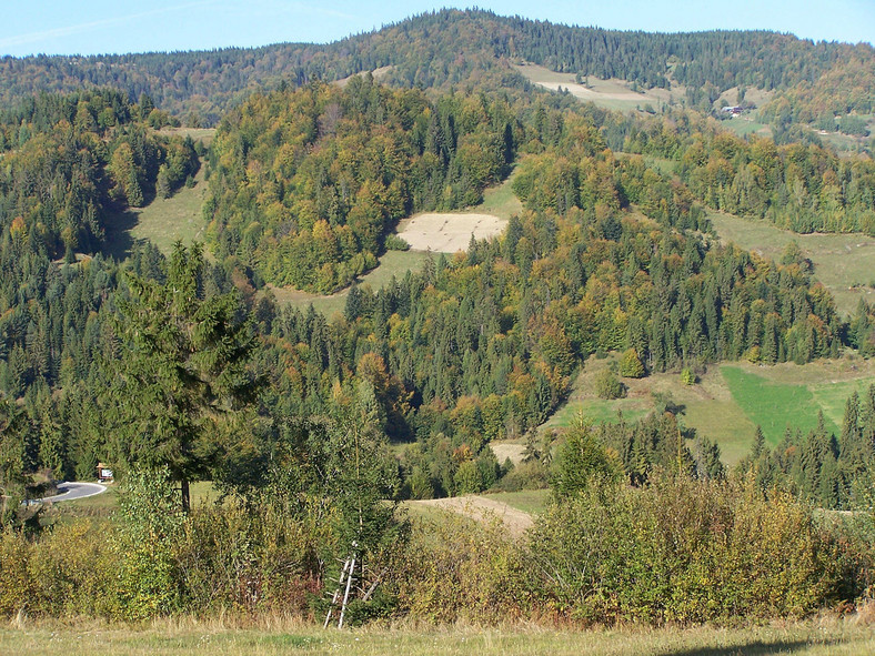 Okolice Ochotnicy Górnej jesienią