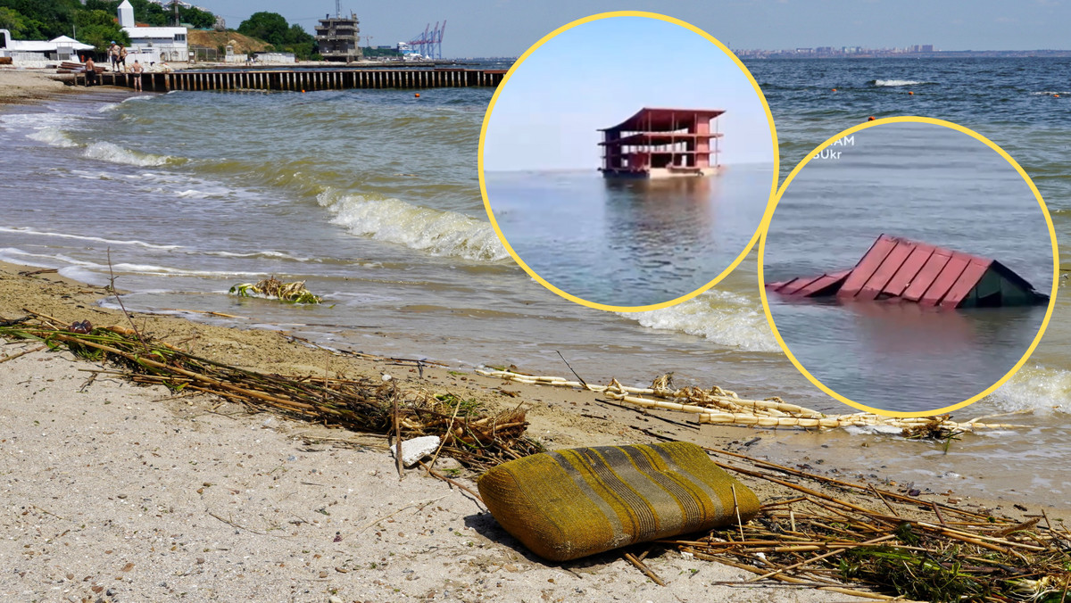 Morze wyrzuca je na plaże w Odessie. "Skutki rosyjskiego ekobójstwa" [WIDEO]