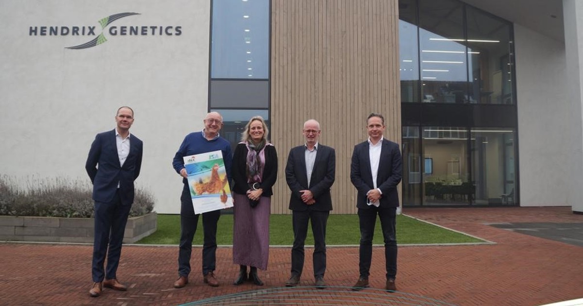 Chi‌ ‌Farms‌ ‌expands‌ ‌partnership‌ ‌with‌ ‌Hendrix‌ ‌Genetics‌ - Vimarsana News