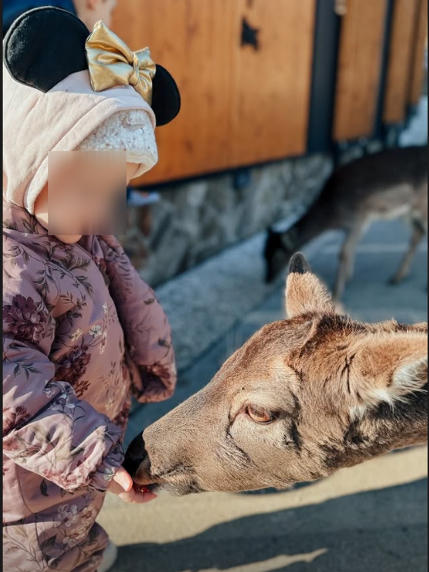 Bojana Barović sa decom otišla van Srbije