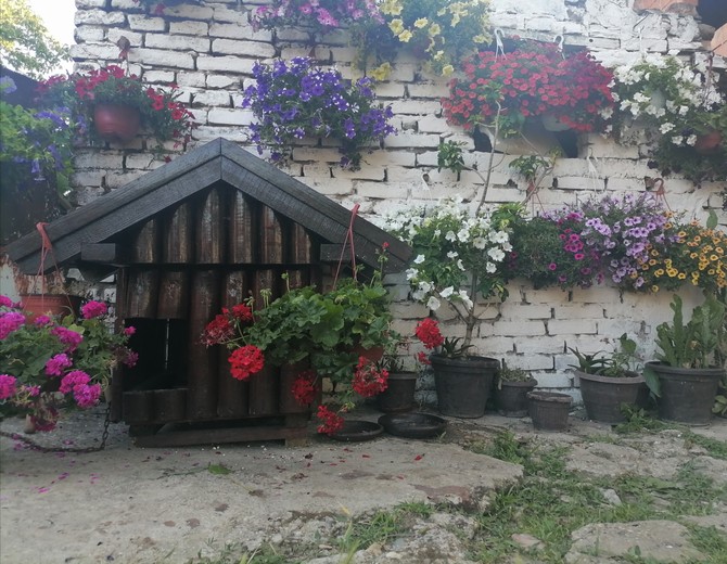 Zbog dve kuce cveće mora da bude na visini