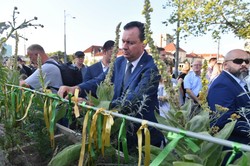 Oburzenie po wpisie ambasadora Izraela. "Komory gazowe w Polsce"