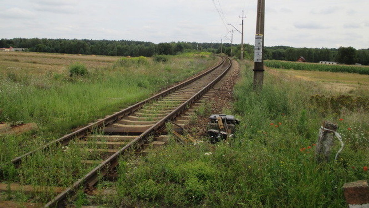 W regionie łódzkim ma powstać nowa linia kolejowa. Tory połączą Bełchatów, Wieluń i Złoczew, a oprócz pociągów pasażerskich będą tam kursować składy towarowe.