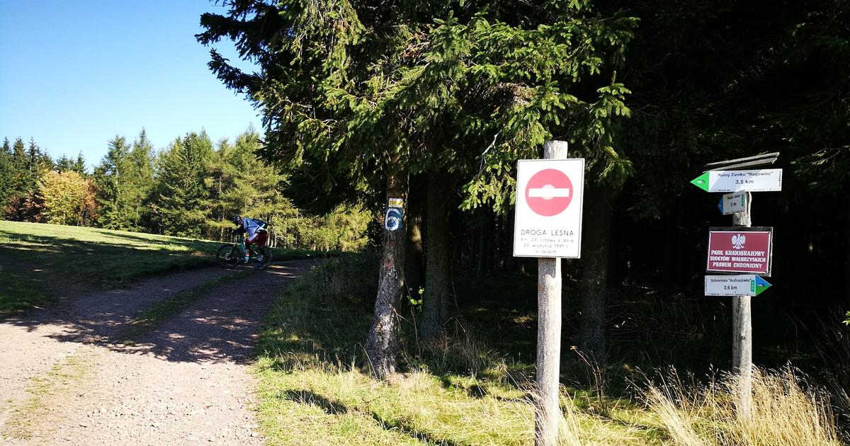  Planujesz wjechać autem do lasu? Uważaj, możesz dostać nawet 5 tys. zł grzywny