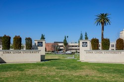 Co daje szansę na długowieczność? Mieszkańcy "niebieskiej strefy" w USA zdradzają swoją receptę