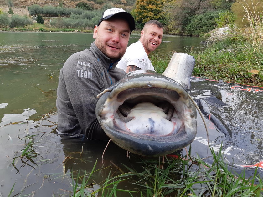 Szczecin: Wędkarz wyłowił z Odry suma giganta. Zdradza, jak to zrobił