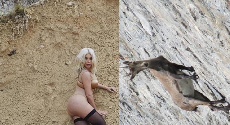 Kim Kardashian's system magazine shoot compared to mountain goat