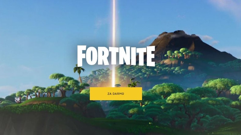 W Biedronce Kupimy Tanie Figurki Z Fortnite - foto epic games