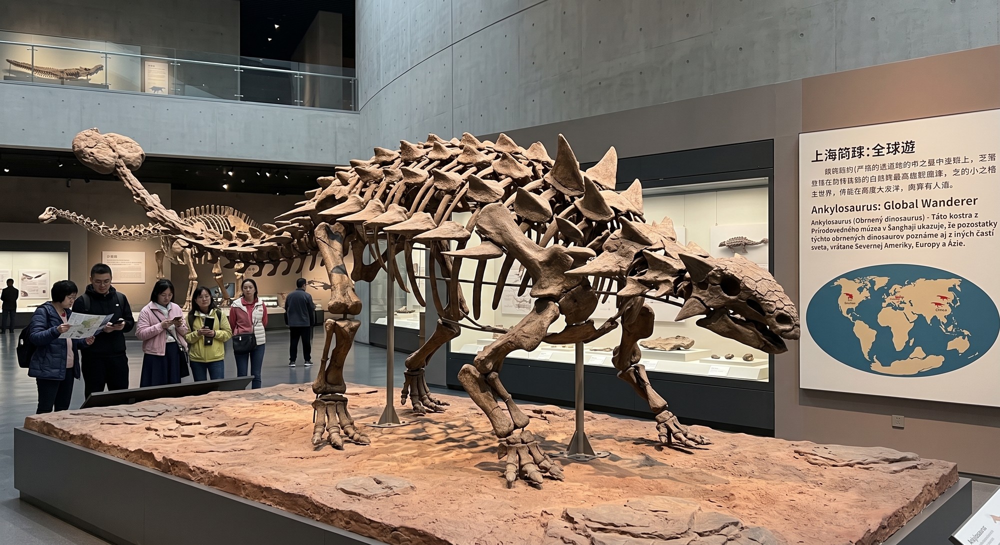 Kostra ankylosaura vystavená v Prírodovednom múzeu v Šanghaji ukazuje, že pozostatky týchto obrnených dinosaurov poznáme aj z iných častí sveta. (Ilustračný obrázok)