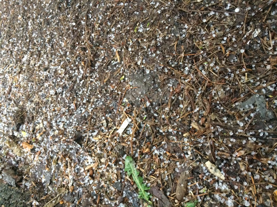 Grad na Novom Beogradu