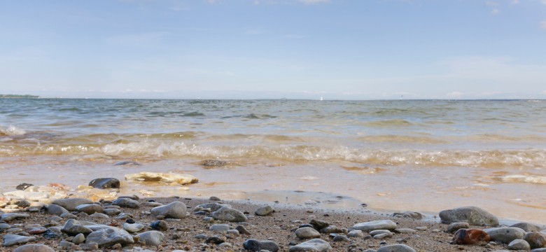 Tajemnicze kosze na polskim wybrzeżu. Chronią "wyjątkowe znalezisko"