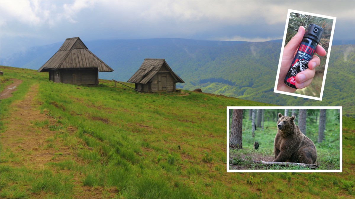 Po tragedii w Płonnej turyści się boją. Bieszczady liczą straty. "Ludzi na szlakach mniej"