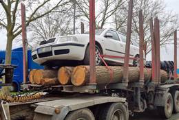 Ciężarówką wiózł ścięte drzewa. Uwagę policjantów przykuł jeden "drobny" szczegół