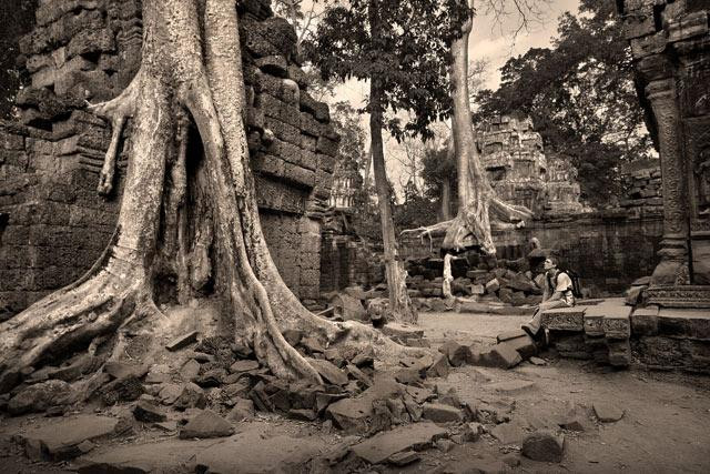 Galeria Kambodża - Angkor - moc mieszka w kamieniach i drzewach, obrazek 13