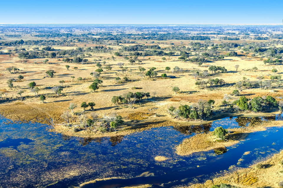 Delta Okavango