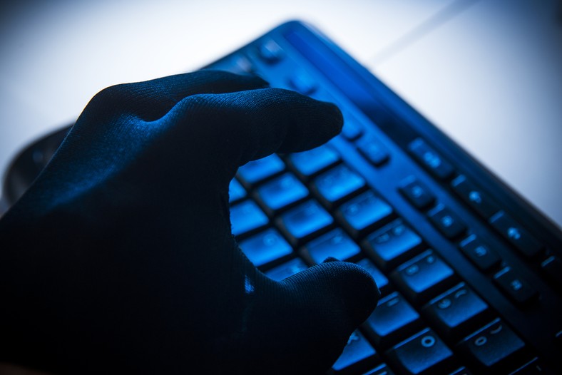 <strong>Keylogger</strong><br /><br />

Zbiera informacje wprowadzane do systemu przez
użytkownika za pomocą klawiatury/myszy.<br /><br />