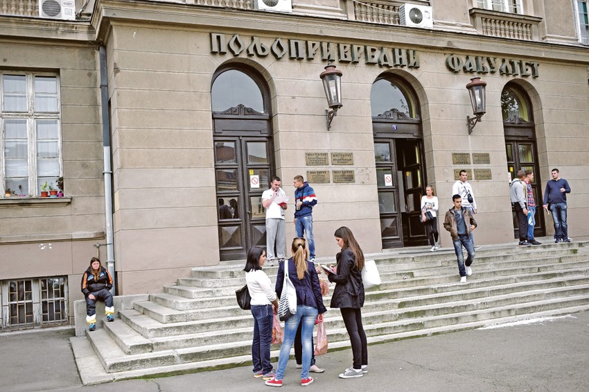 U oblasti prehrambene tehnologije Harvard i Oksford daleko iza Beogradskog univerziteta
