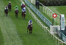 tragiczny bilans wyścigów konnych. padły 24 wierzchowce