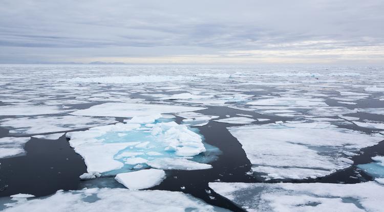 Még mindig nem indult el a jégképződés az északi-sarkvidéki tengeren