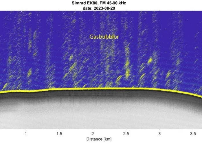 Za pomocą zaawansowanego sonaru badacze mogą obserwować słup wody, a w tym przypadku pęcherzyki gazu unoszące się z dna oceanu na powierzchnię