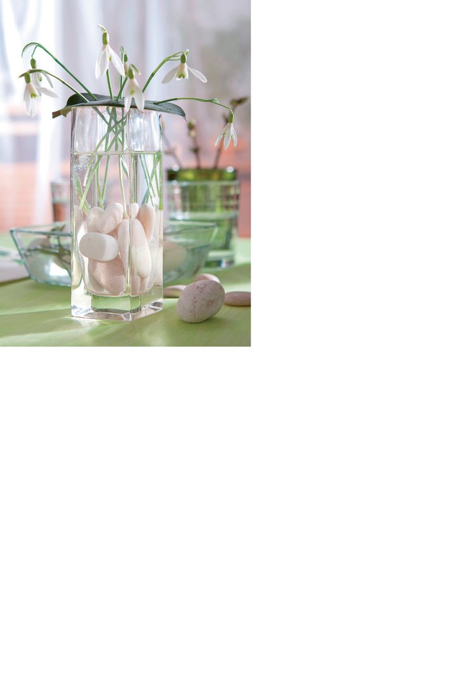 Visibabe su lepe i nežne