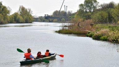 Zanieczyszczenie Odry. Jest zawiadomienie do wrocławskiej prokuratury