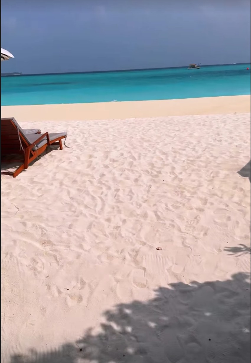 Saša Kovačević, objava