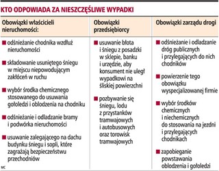 Zima: kto odpowiada za wypadki na ulicach