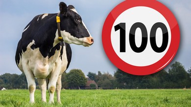 Land Rover Discovery Sport 2.0P AWD – legendarny model w wersji mini