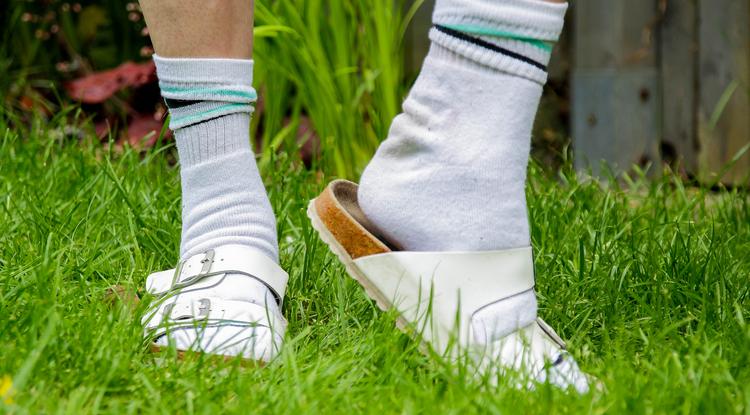 Az anyósom mindig a mikróba tette a zokniját, de nem értettem, hogy miért Fotó: Getty Images