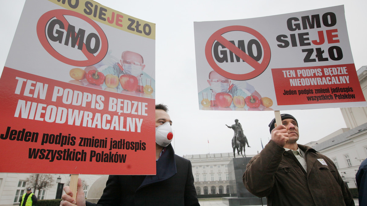 Przeciwnicy organizmów genetycznie modyfikowanych (GMO), w tym także celebryci, protestowali przed Pałacem Prezydenckim przeciwko uchwalonej niedawno przez Sejm ustawie o nasiennictwie.