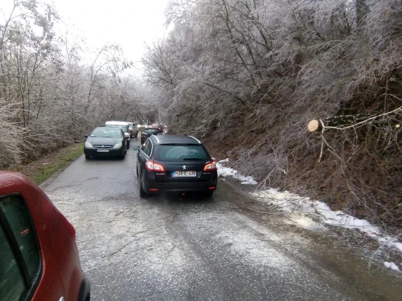 Zastoji na Fruškoj gori